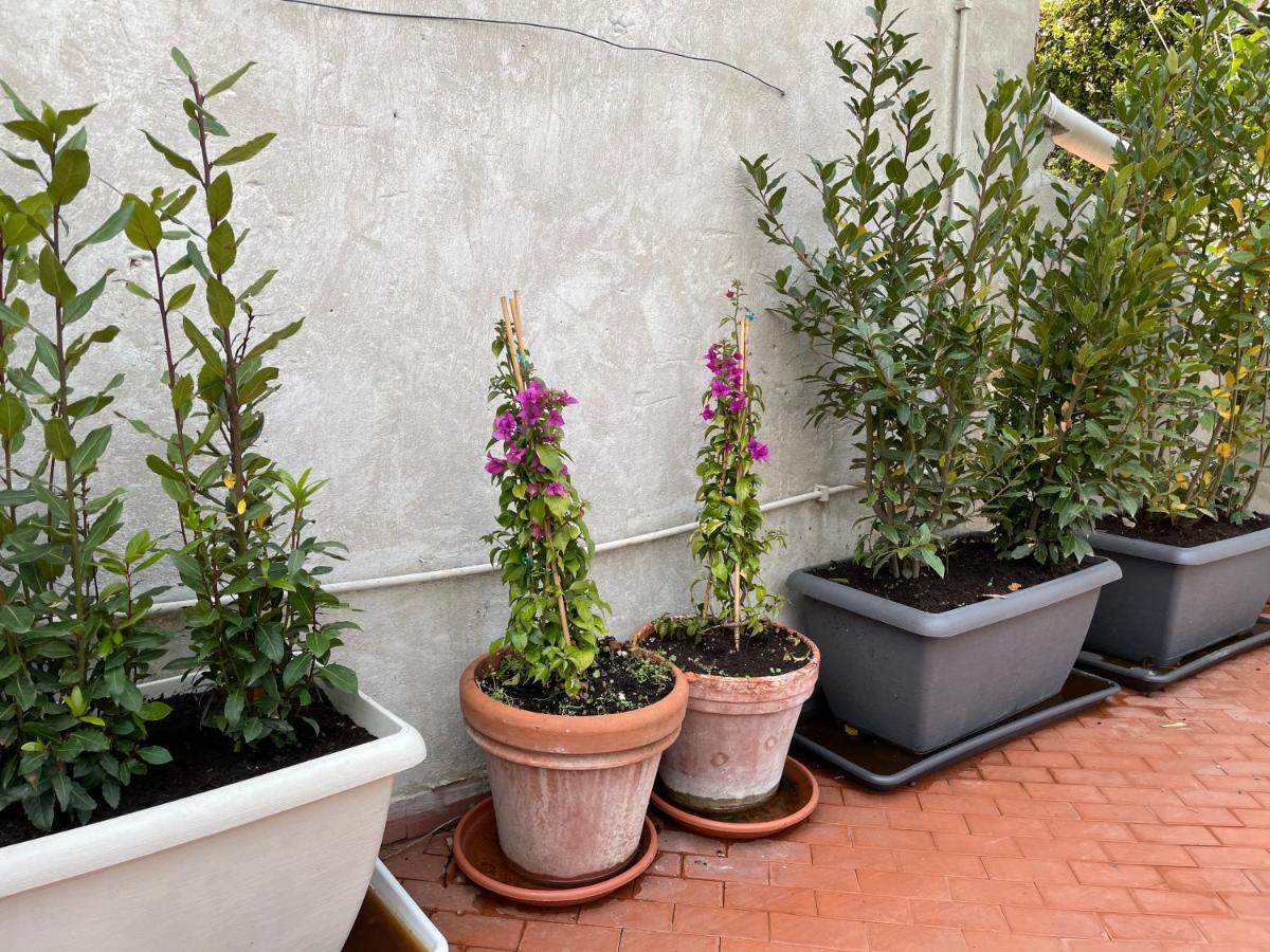 Campo De Fiori Palace Βίλα Ρώμη Εξωτερικό φωτογραφία